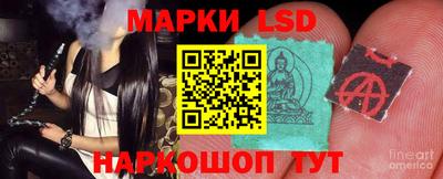индика Гай