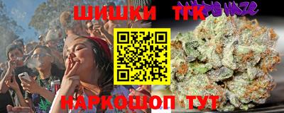 индика Гай