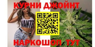 индика Гай