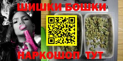 индика Гай