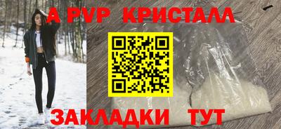 спиды Гагарин