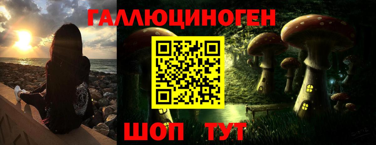Псилоцибиновые грибы Magic Shrooms  Вход с VPN  Гусь-Хрустальный 